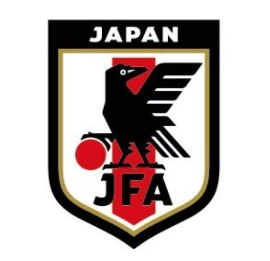 开云体育官网-日本队集训出行遭突发情况 派人监测印尼火山喷发